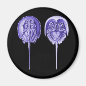 Horseshoe Crab Magnet (Vorne)