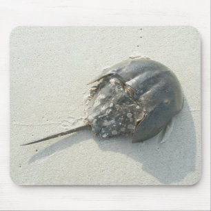 Horseshoe Crab Mousepad