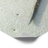 Horseshoe Crab Poster (Ecke)