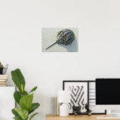 Horseshoe Crab Poster (Heimbüro)