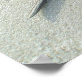 Horseshoe Crab Poster (Ecke)