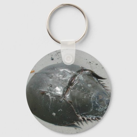 Horseshoe Crab Schlüsselanhänger (Vorderseite)