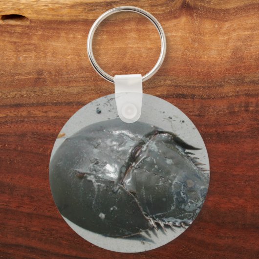 Horseshoe Crab Schlüsselanhänger (Vorderseite)