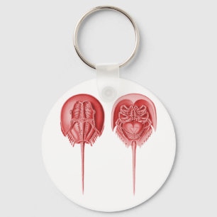 Horseshoe Crab Schlüsselanhänger