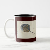Horseshoe Crab Tasse (Links)