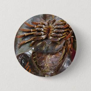 Horseshoe Crab ... Thai Asian Street Food Button