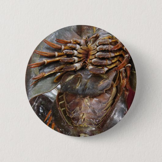 Horseshoe Crab ... Thai Asian Street Food Button (Vorderseite)