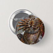 Horseshoe Crab ... Thai Asian Street Food Button (Vorne & Hinten)