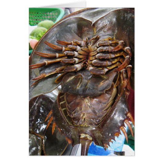 Horseshoe Crab ... Thai Asian Street Food Card (Vorne)