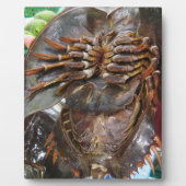 Horseshoe Crab ... Thai Asian Street Food Fotoplatte (Vorderseite)