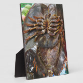 Horseshoe Crab ... Thai Asian Street Food Fotoplatte (Seite)