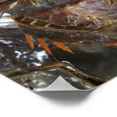 Horseshoe Crab ... Thai Asian Street Food Poster (Ecke)