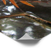 Horseshoe Crab ... Thai Asian Street Food Poster (Ecke)