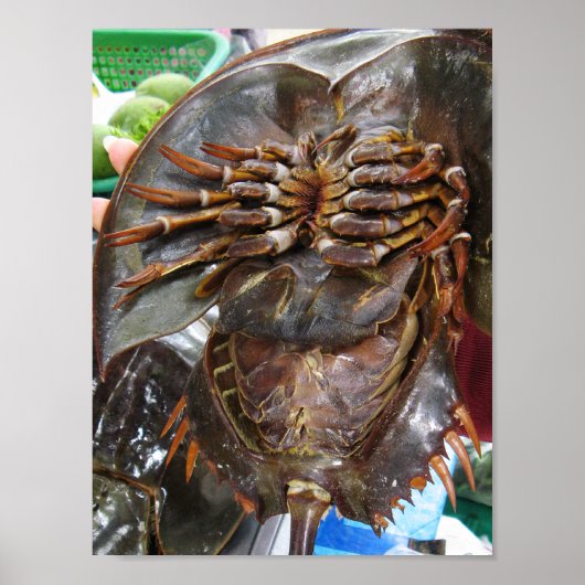 Horseshoe Crab ... Thai Asian Street Food Poster (Vorne)
