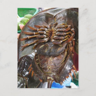 Horseshoe Crab ... Thai Asian Street Food Postkarte