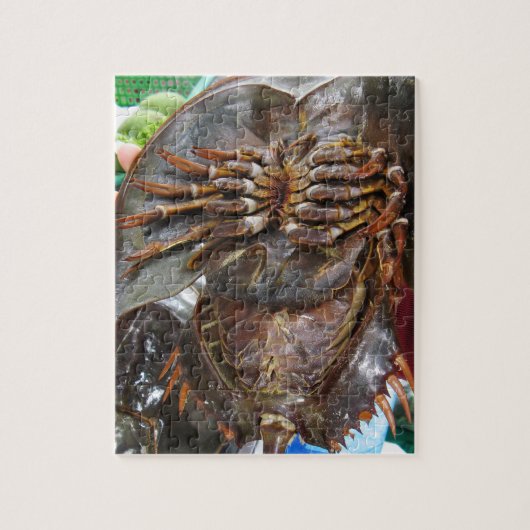 Horseshoe Crab ... Thai Asian Street Food Puzzle (Vertikal)