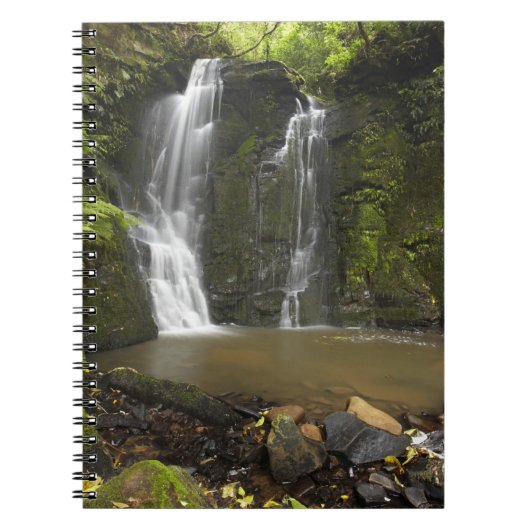 Horseshoe Falls, Matai Falls Notizblock (Vorderseite)
