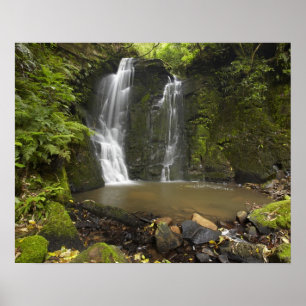 Horseshoe Falls, Matai Falls Poster