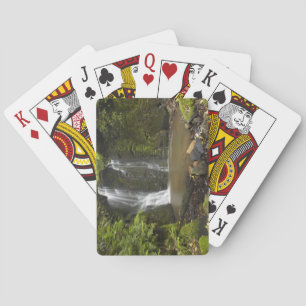 Horseshoe Falls, Matai Falls Spielkarten