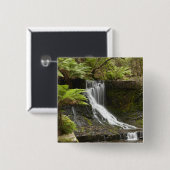 Horseshoe Falls, Mount Field National Park, Button (Vorne & Hinten)