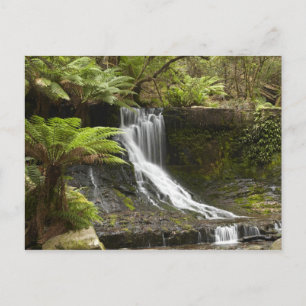 Horseshoe Falls, Mount Field National Park, Postkarte
