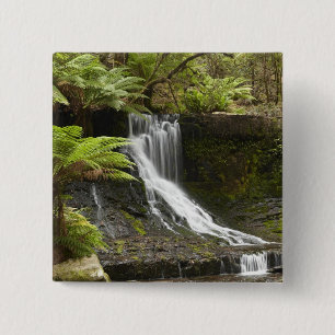 Horseshoe Falls, Mount Field Nationalpark, Button