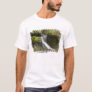 Horseshoe Falls, Mount Field Nationalpark, T-Shirt