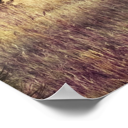 Horseshoe Reservoir Colorado Poster (Ecke)