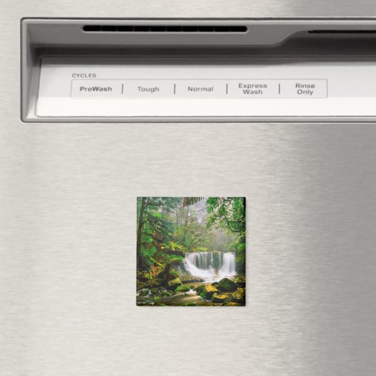 Horseshosfälle umgeben von Regenwald Magnet (In Situ (Geschirrspüler))