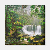 Horseshosfälle umgeben von Regenwald Magnet (Vorne)