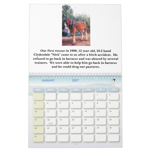 HORSESISTERS 2010 KALENDER (Jan 2027)