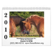 HORSESISTERS 2010 KALENDER (Titelbild)