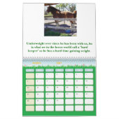 HORSESISTERS 2010 KALENDER (Mär 2027)