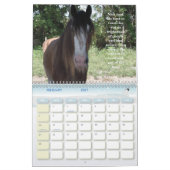 HORSESISTERS 2010 KALENDER (Feb 2027)