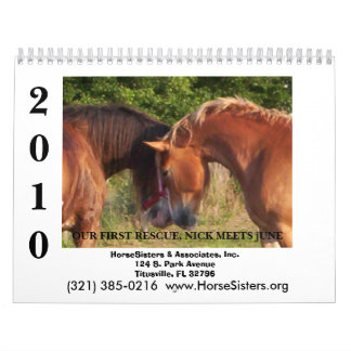HORSESISTERS 2010 KALENDER