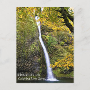 Horsetail Falls, Columbia River Gorge, Oregon Post Postkarte