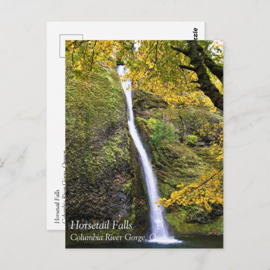 Horsetail Falls, Columbia River Gorge, Oregon Post Postkarte (Vorne/Hinten)