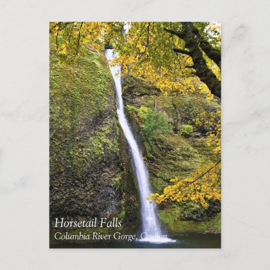 Horsetail Falls, Columbia River Gorge, Oregon Post Postkarte (Vorderseite)