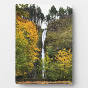 Horsetail Falls, Columbia River Schlucht, Oregon Fotoplatte