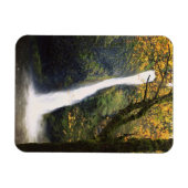 Horsetail Falls, Oregon Magnet (Horizontal)