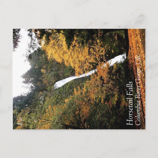 Horsetail Falls, Oregon Postkarte (Vorderseite)