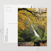 Horsetail Falls, Oregon Postkarte (Vorne/Hinten)