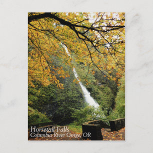 Horsetail Falls, Oregon Postkarte