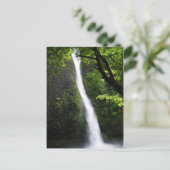 HorseTail Falls Postcard Postkarte (Stehend Vorderseite)