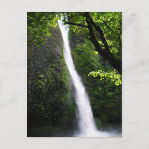 HorseTail Falls Postcard Postkarte