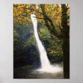 Horsetail Falls Poster (Vorne)