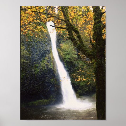 Horsetail Falls Poster (Vorne)