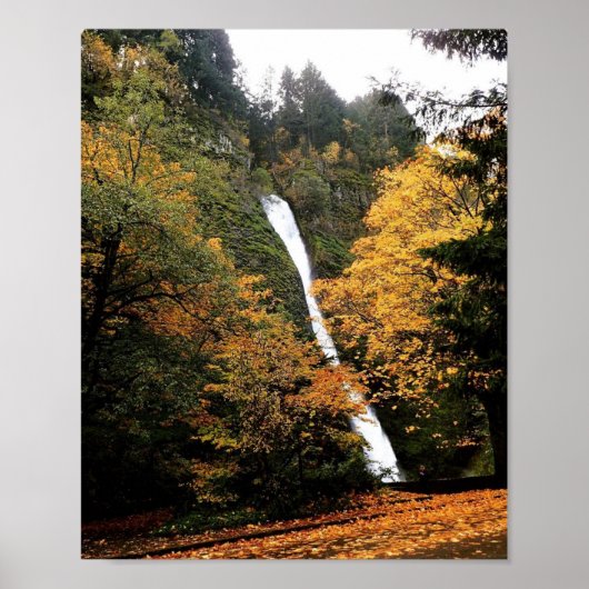 Horsetail Falls Poster (Vorne)