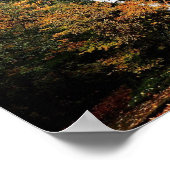 Horsetail Falls Poster (Ecke)