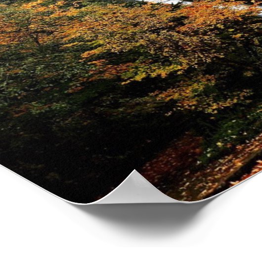 Horsetail Falls Poster (Ecke)